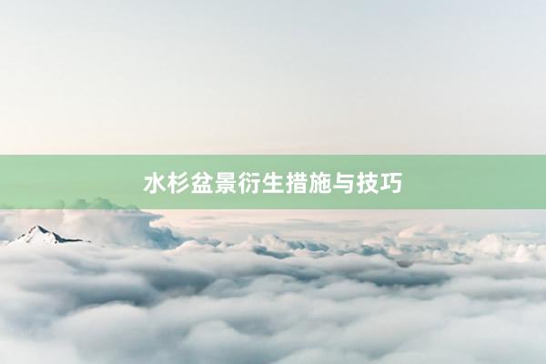 水杉盆景衍生措施与技巧